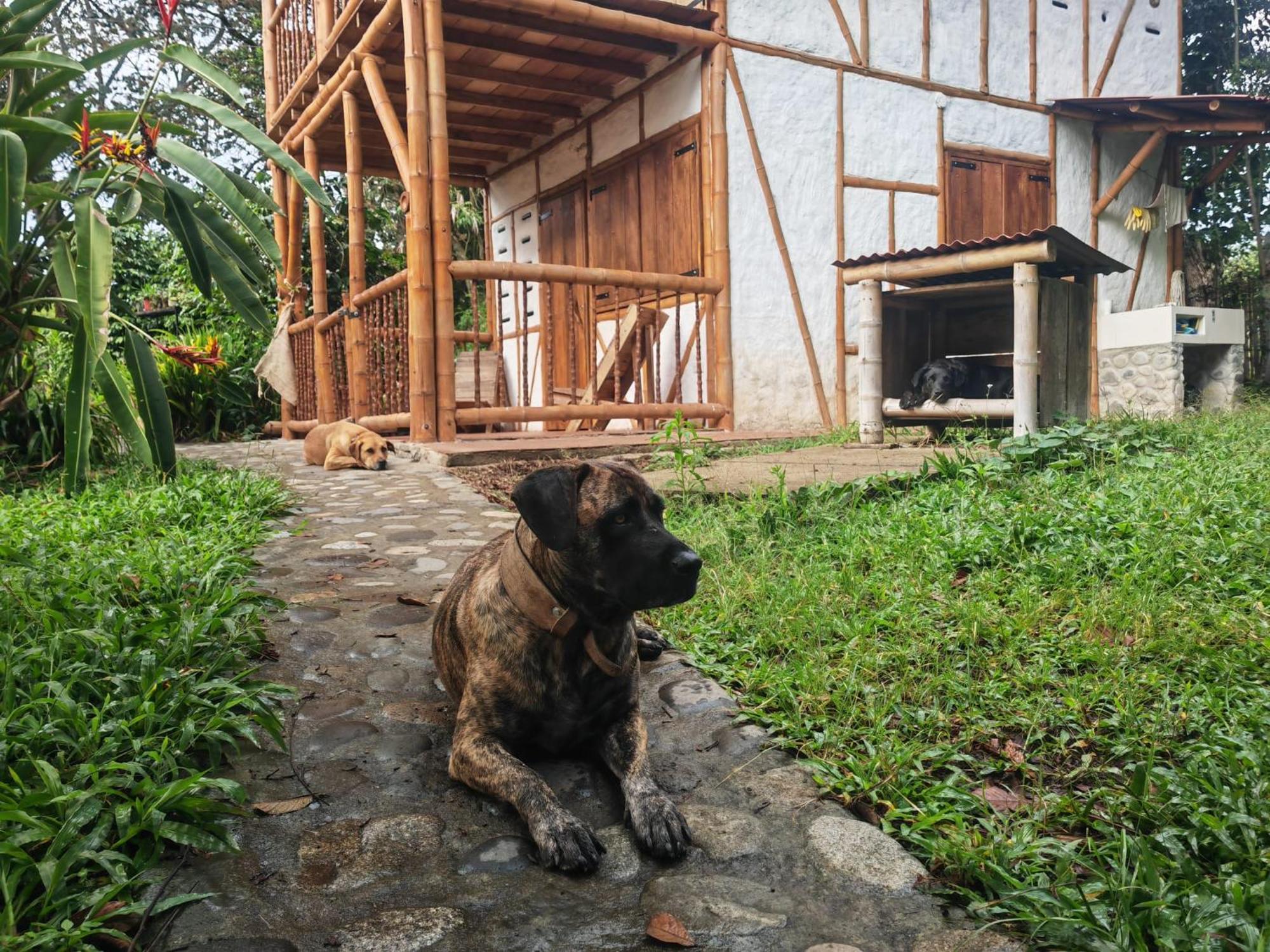 Casa Entera Finca Cometa San Agustín Εξωτερικό φωτογραφία