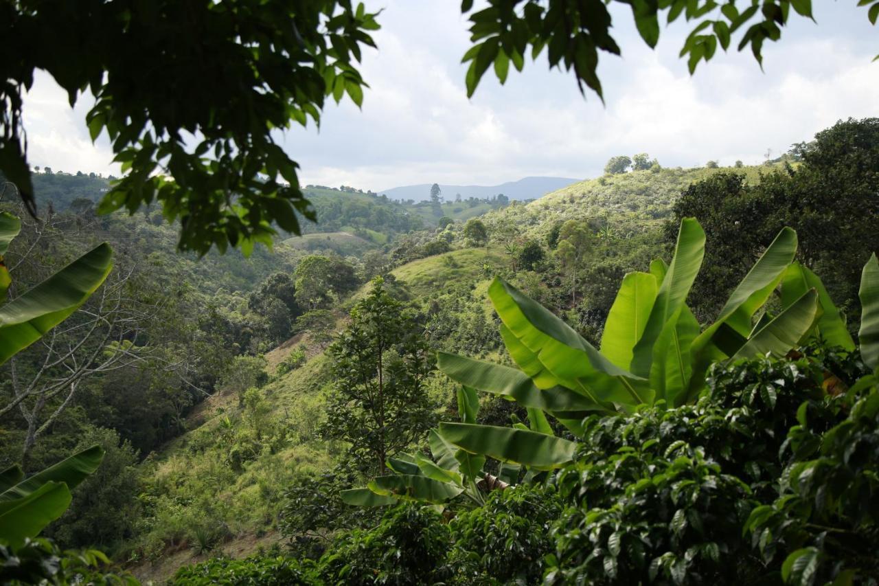Casa Entera Finca Cometa San Agustín Εξωτερικό φωτογραφία